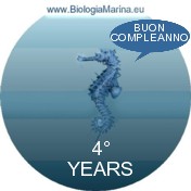 Quarto compleanno Biologiamarina.eu