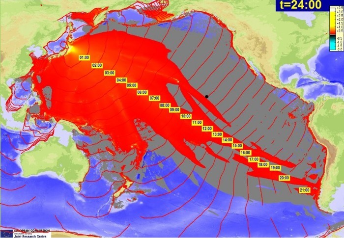 Elaborazione propagazione tsunami