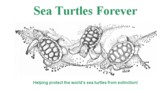 Sea Turtles Forever