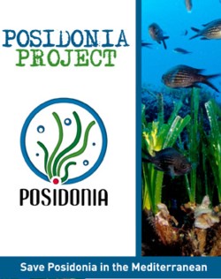 Posidonia Project