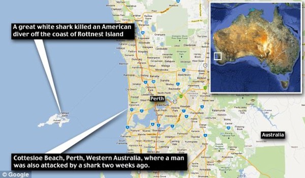 Mappa attacco squalo in Australia