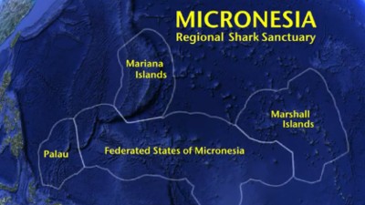 shark Sanctuary Micronesia Challenge