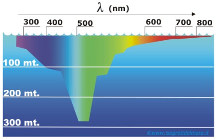 Spettro luce in mare